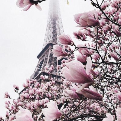 CORONAVIRUS… un NEW DEAL et une invitation à retrouver le sens de notre vie… sociale, solidaire et fraternelle