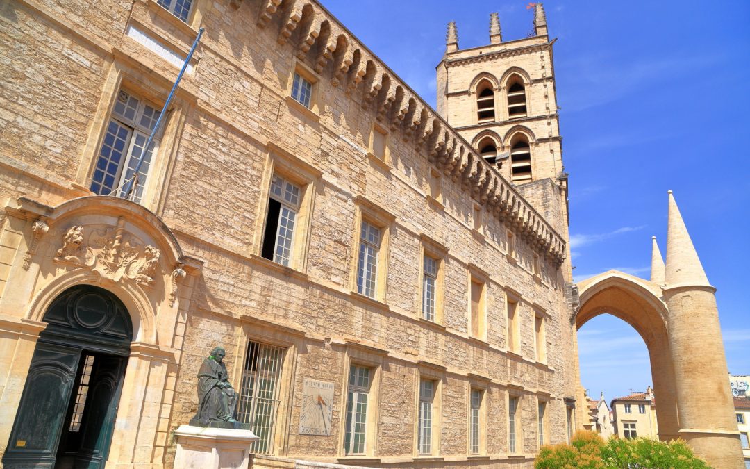 Les étudiants étrangers, un joli pactole pour la France