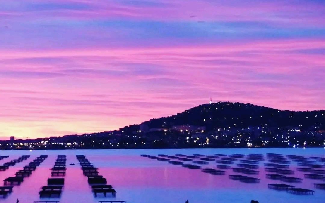 Sète tournée résolument vers les pays de la Méditerranée