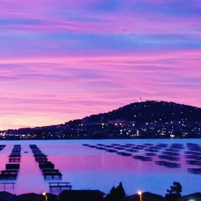 Sète tournée résolument vers les pays de la Méditerranée